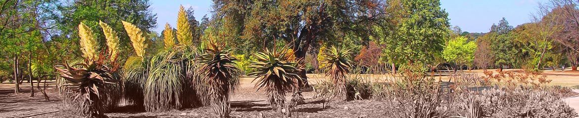 Randburg & Surrounding Accommodation footer banner